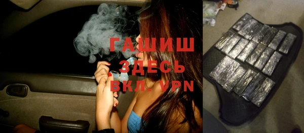 сатива Березники