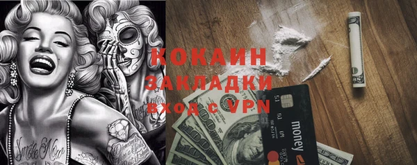 сатива Березники