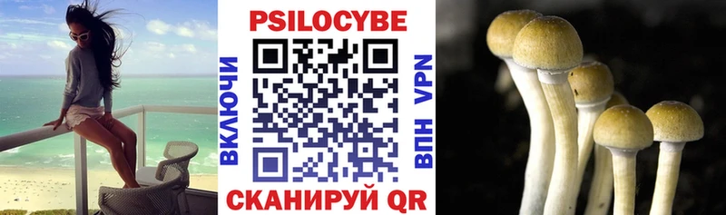 Псилоцибиновые грибы ЛСД  где купить   Карасук 
