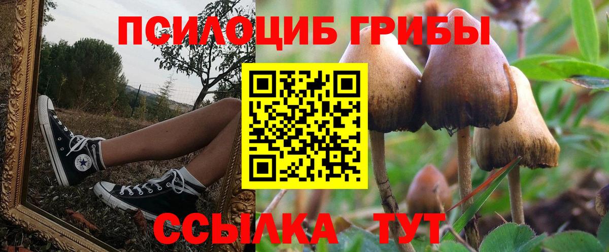 Псилоцибиновые грибы GOLDEN TEACHER Карасук