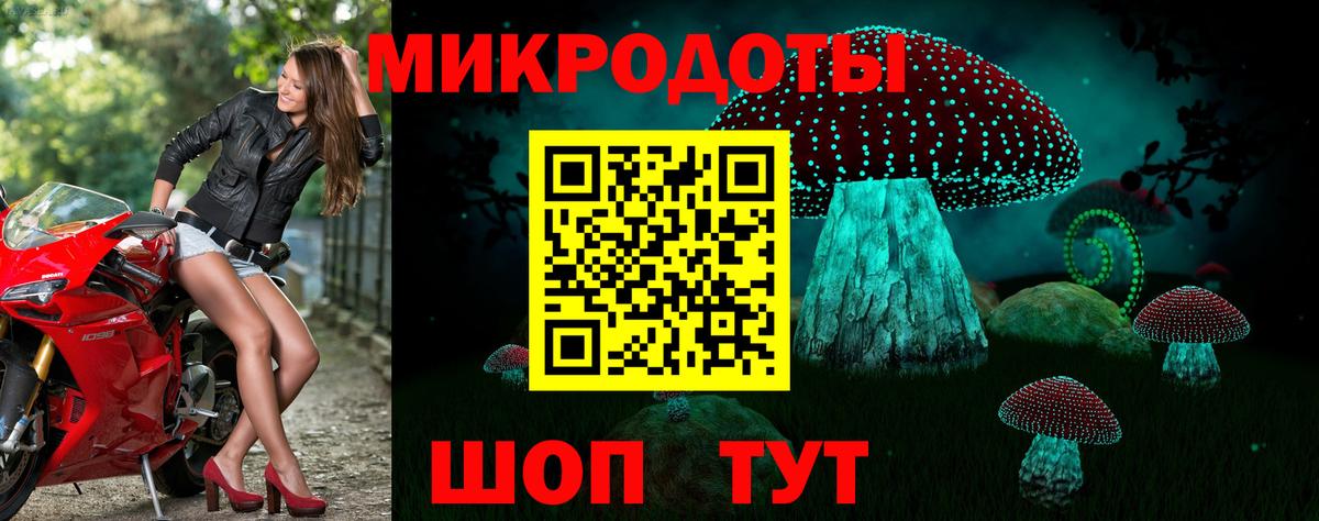 Карасук  Псилоцибиновые грибы прущие грибы  Псилоцибиновые грибы Psilocybe  Вход с VPN 