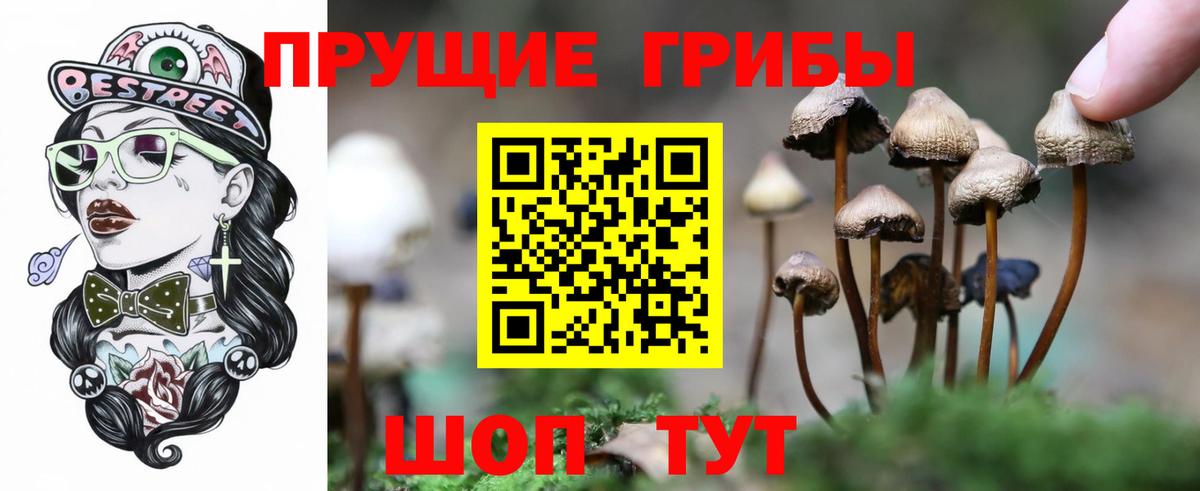 Псилоцибиновые грибы прущие грибы  Карасук 