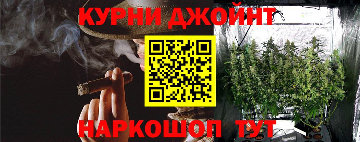 Канабис ГИДРОПОН  МАРИХУАНА MAZAR  Бошки марихуана THC 21%  Вход с VPN  Карасук 